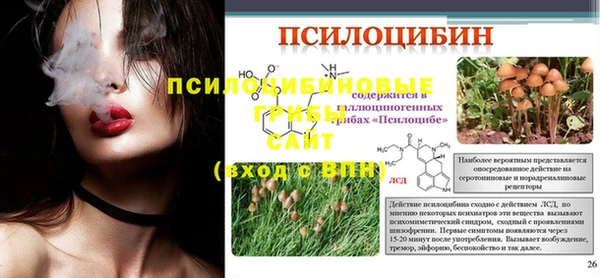 скорость Богданович