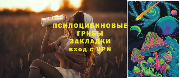 дмт Белокуриха