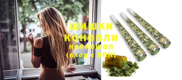 дмт Белокуриха