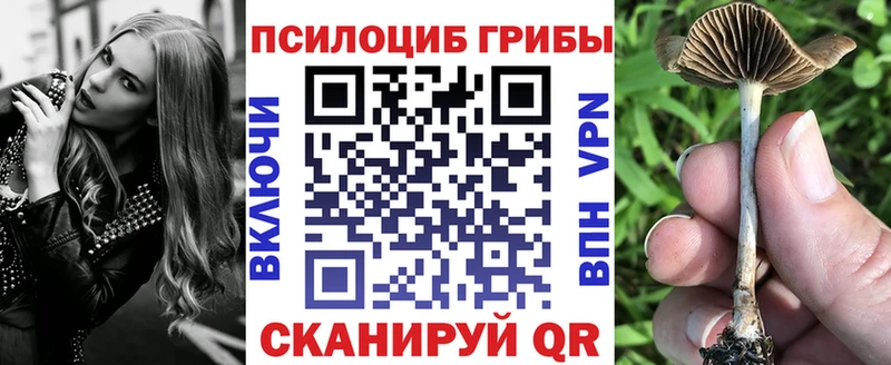 Галлюциногенные грибы Psilocybine cubensis  Мыски 